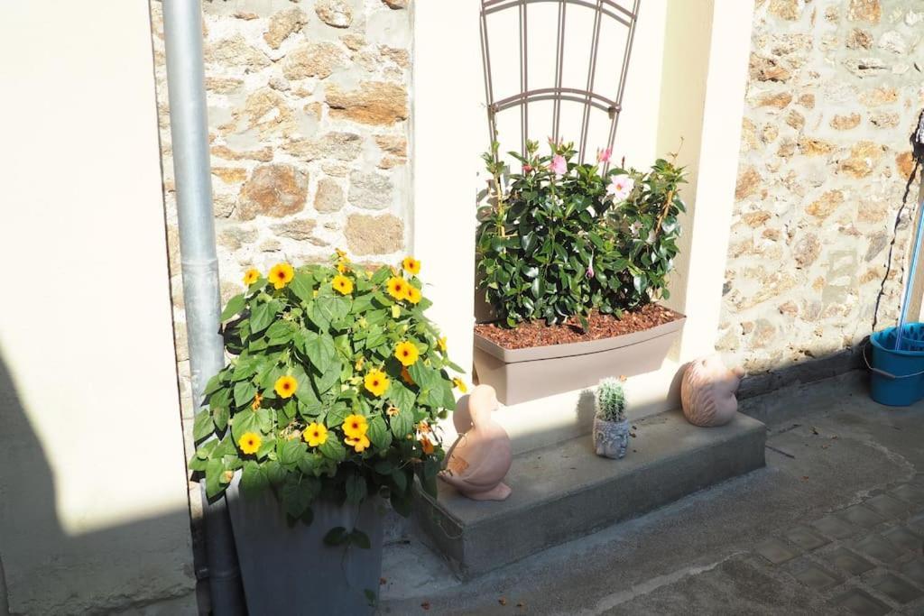 Duplex Et Terrasse A St Servan-st Malo Apartment Saint-Malo